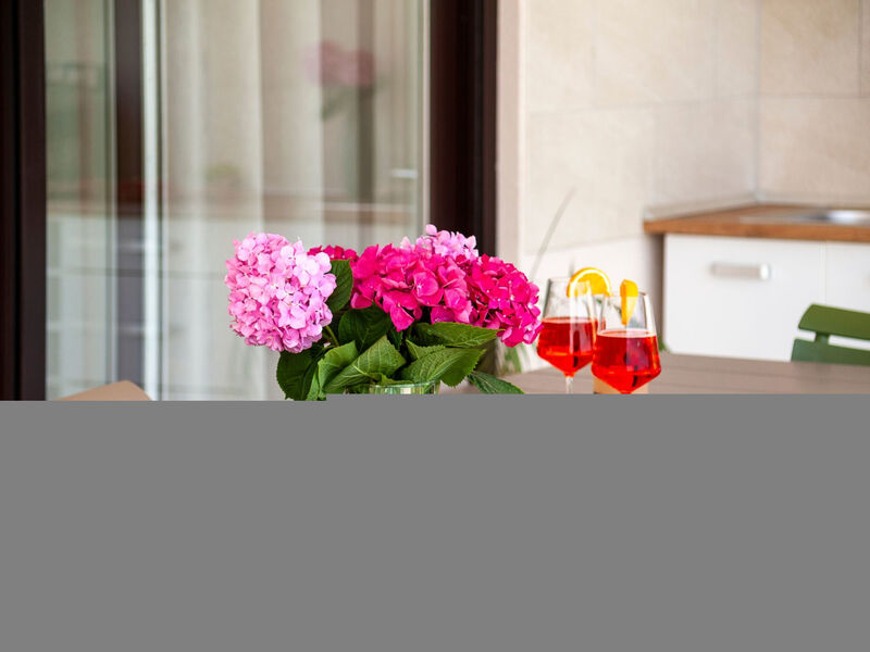 Echo villa, Istra, Pool Jacuzzi, BBQ, Haustierfreundlich