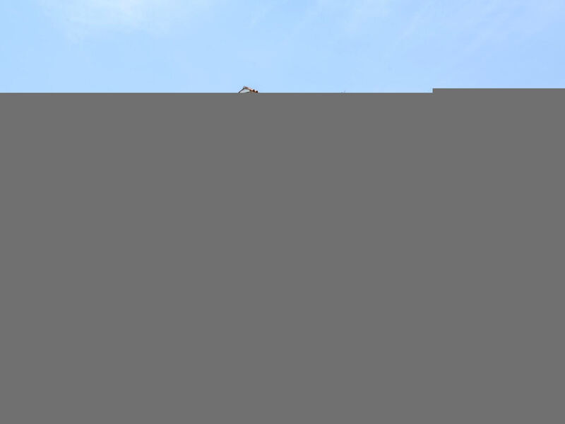 Heritage Villa Lilly