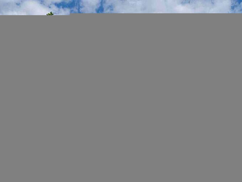 Komfortable, ruhige Erdgeschoss-Ferienwohnung