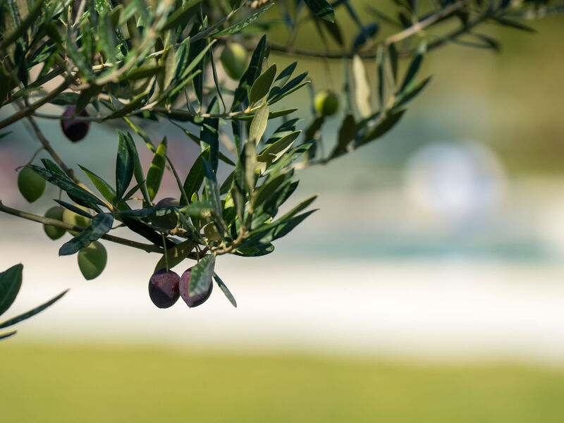 Moderne Villa bei Barban