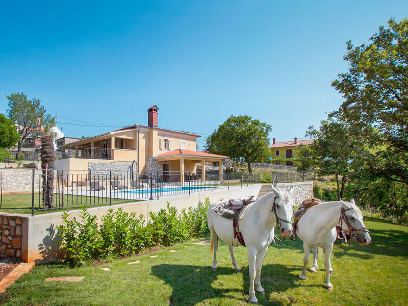 Vila Palachina Antishova