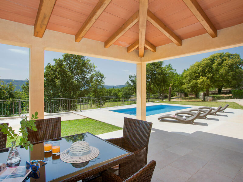 Vila Palachina Antishova