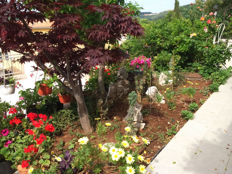 Apartmán Bellavista