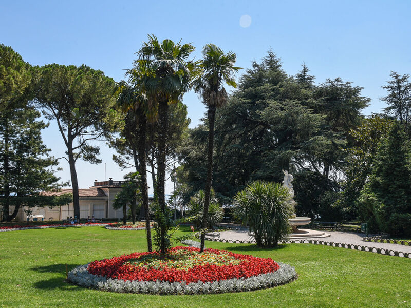 Vero