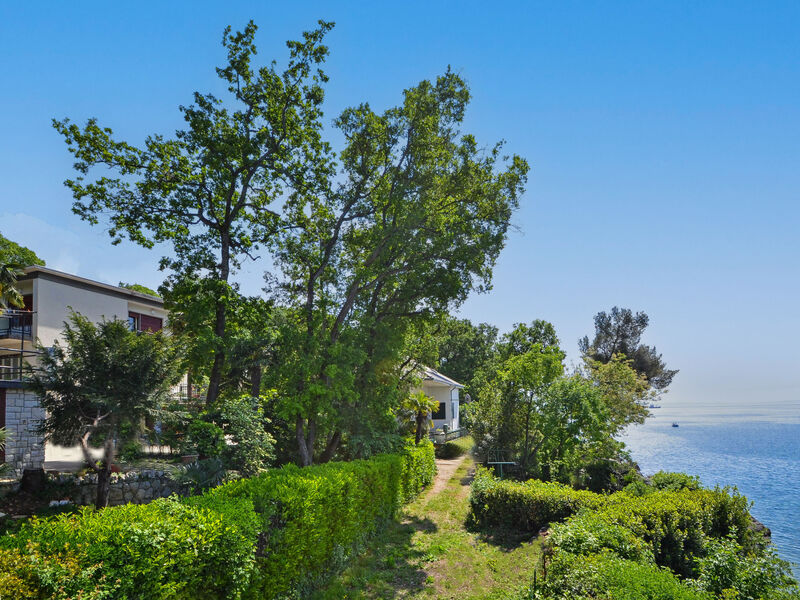 Dado
