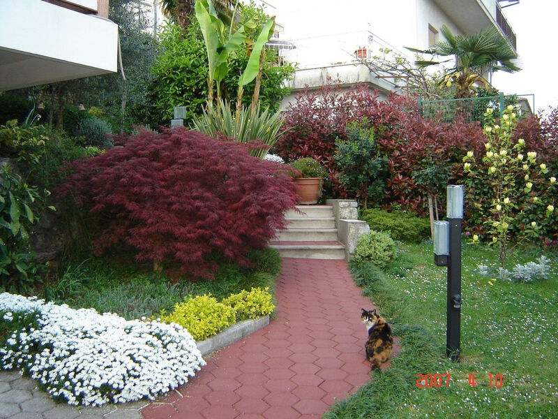 Sunny Garden
