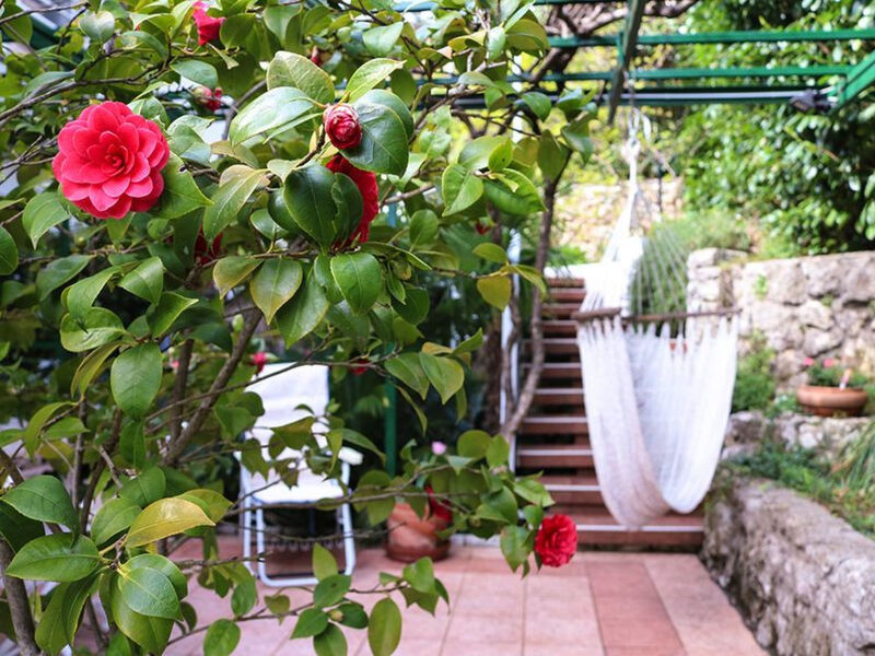 Sunny Garden
