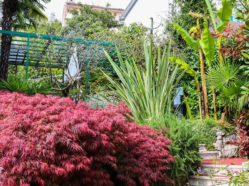 Sunny Garden