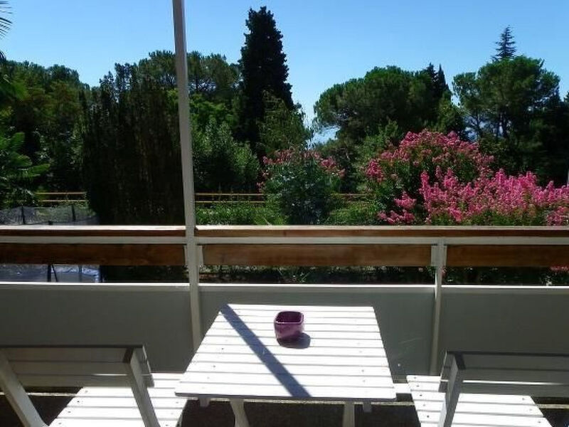 Sunny Garden