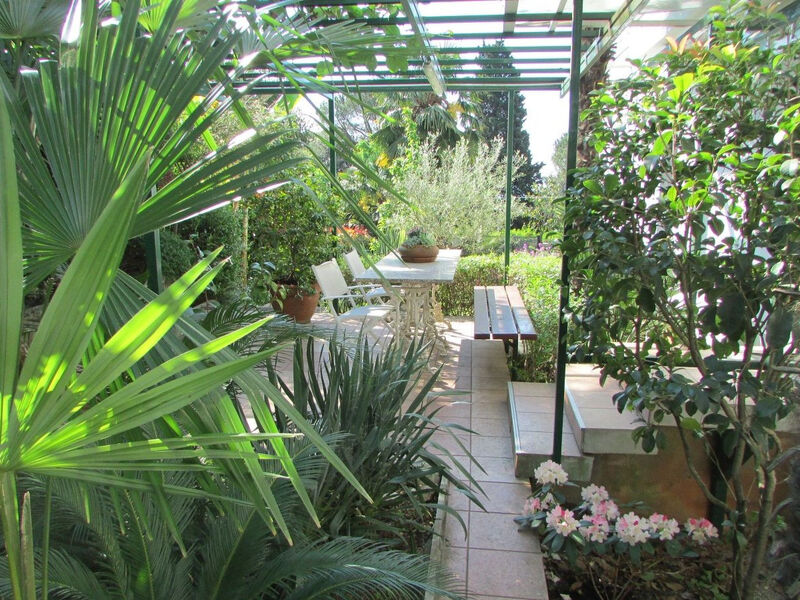 Sunny Garden