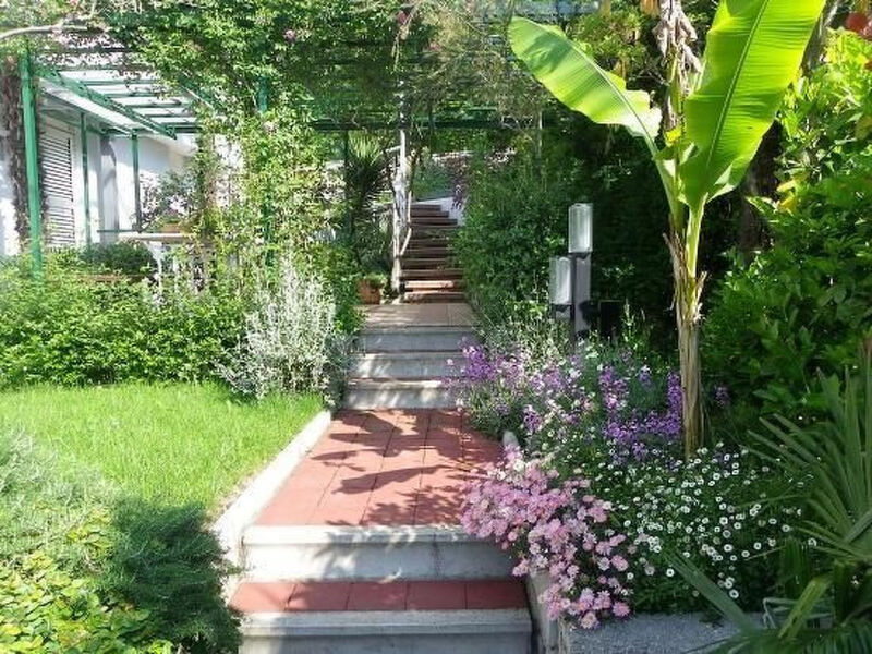 Sunny Garden