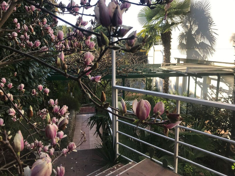 Sunny Garden
