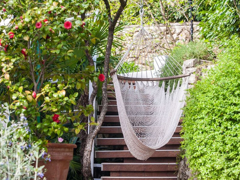 Sunny Garden