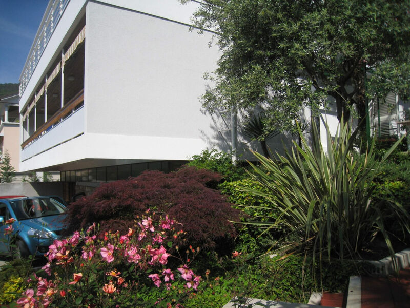 Sunny Garden