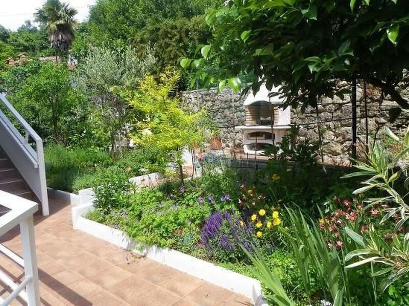 Sunny Garden