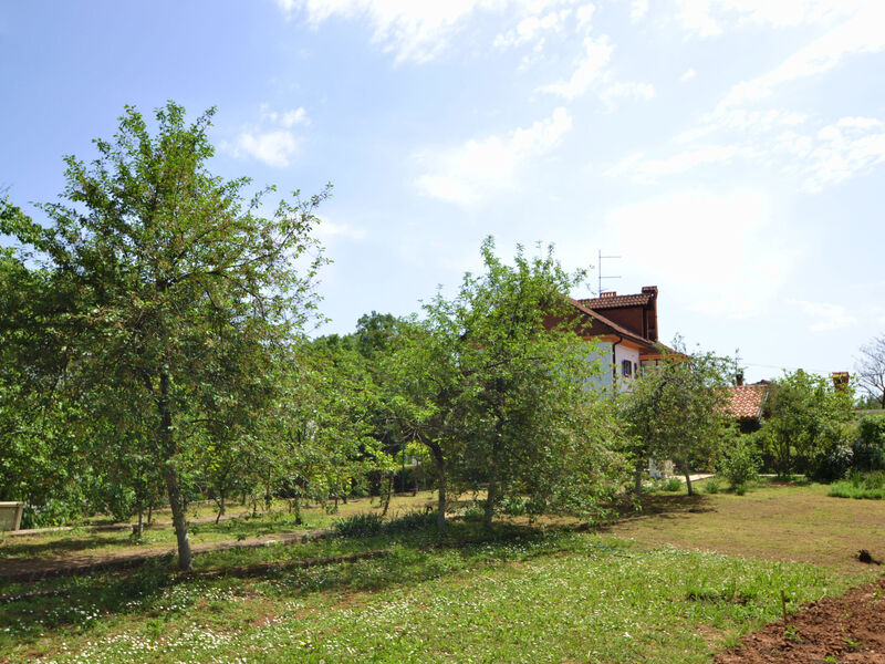 Franjo