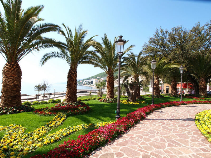 Vila Orhidea