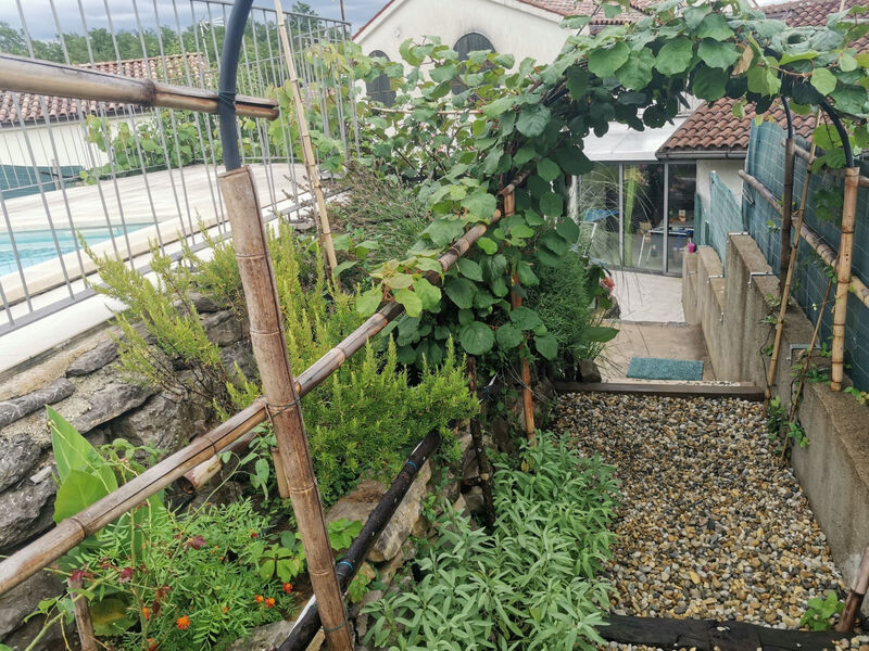 Vila Salvia