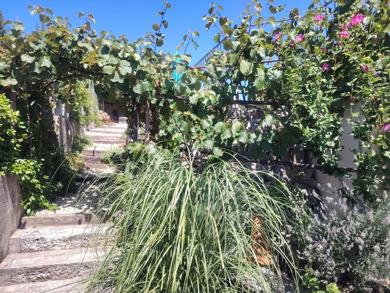 Vila Salvia