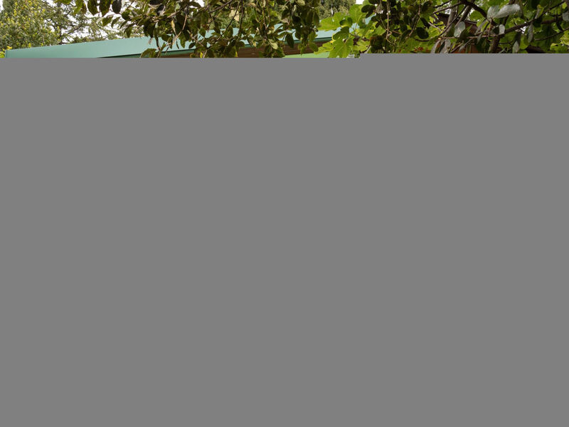 Tiny house Laurel - 70 Meter vom Strand entfernt