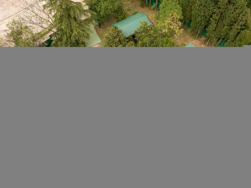 Tiny house Laurel - 70 Meter vom Strand entfernt