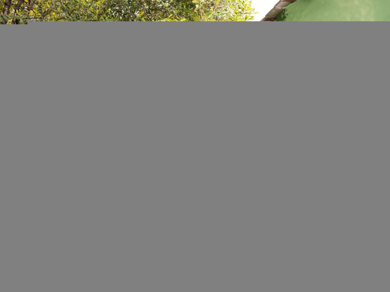 Tiny house Laurel - 70 Meter vom Strand entfernt