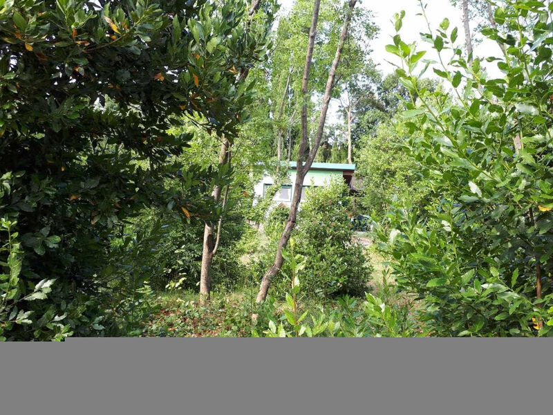 Tiny house Laurel - 70 Meter vom Strand entfernt