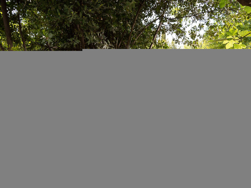 Tiny house Laurel - 70 Meter vom Strand entfernt