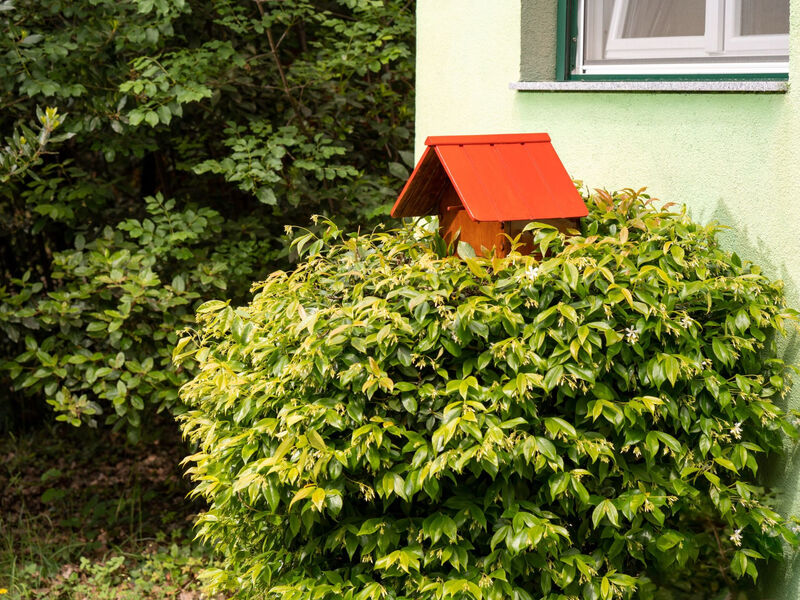 Tiny house Laurel - 70 Meter vom Strand entfernt