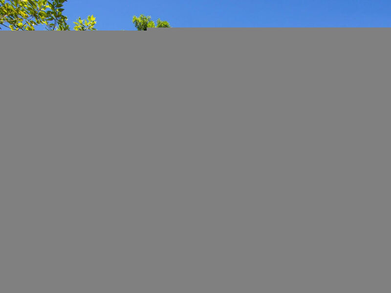 Tiny house Laurel - 70 Meter vom Strand entfernt