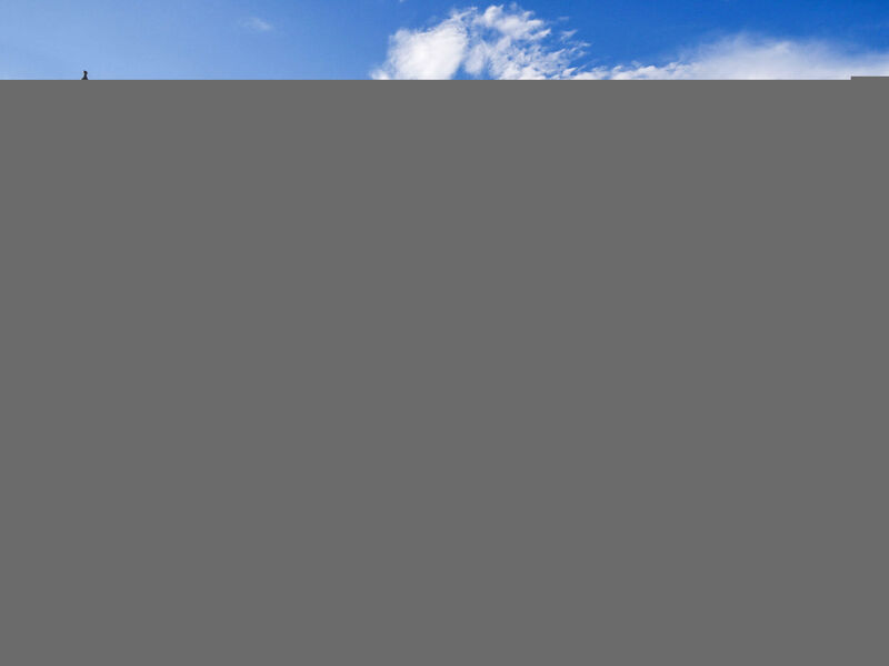 Vila Prestige Deluxe