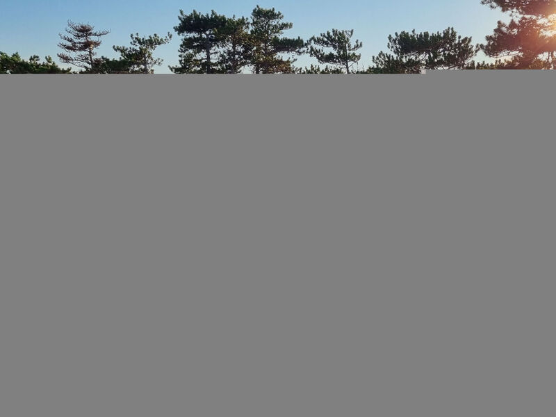 Apartmán Punta Silo