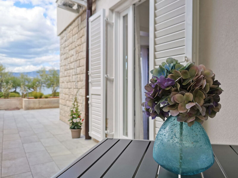 Studio Apartment More