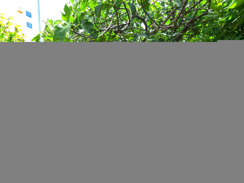 Buka Calm VII' Studio