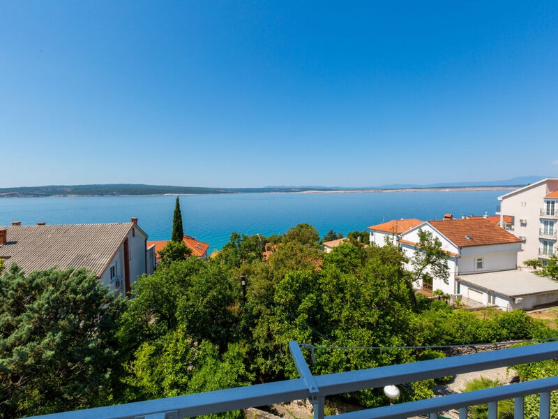 BELA 2 / HR-03564-02