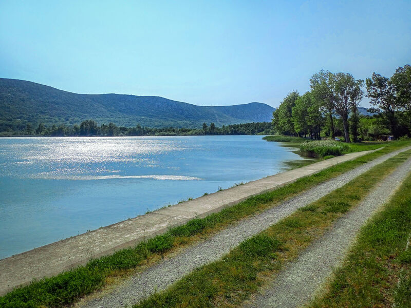 Dvor