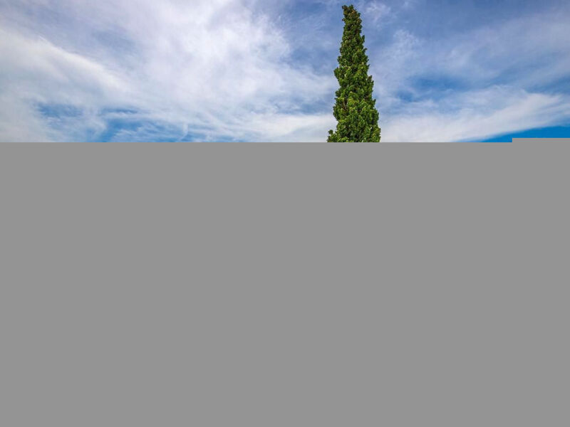 Apartmán Konstantin