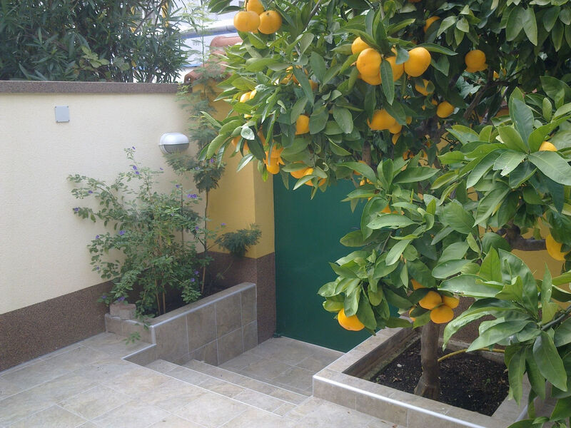„Kleine Villa Tony“