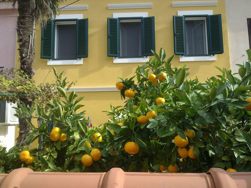 „Kleine Villa Tony“