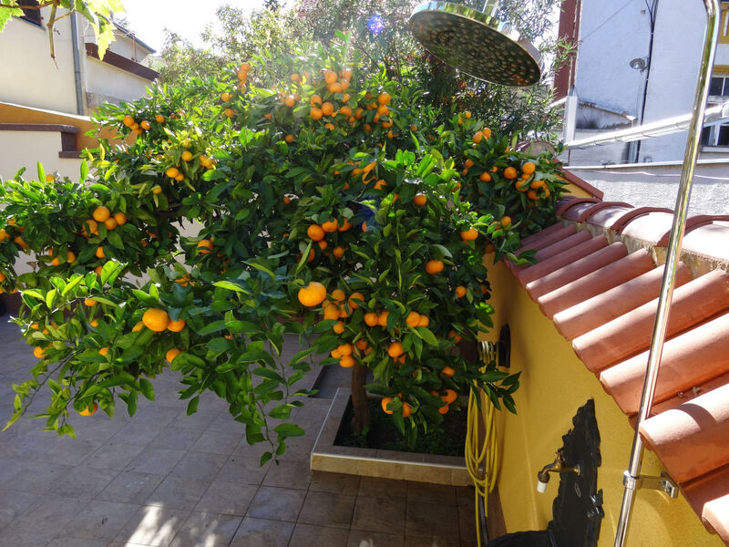 „Kleine Villa Tony“
