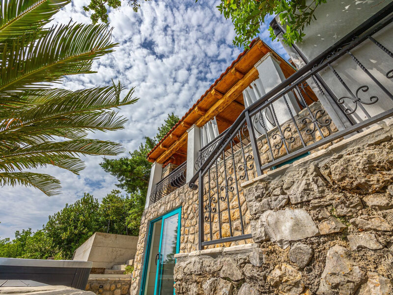 Vila Cikas Palmhouse