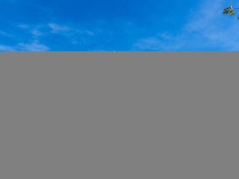 Domino Restaurant 4 / HR-09502-04