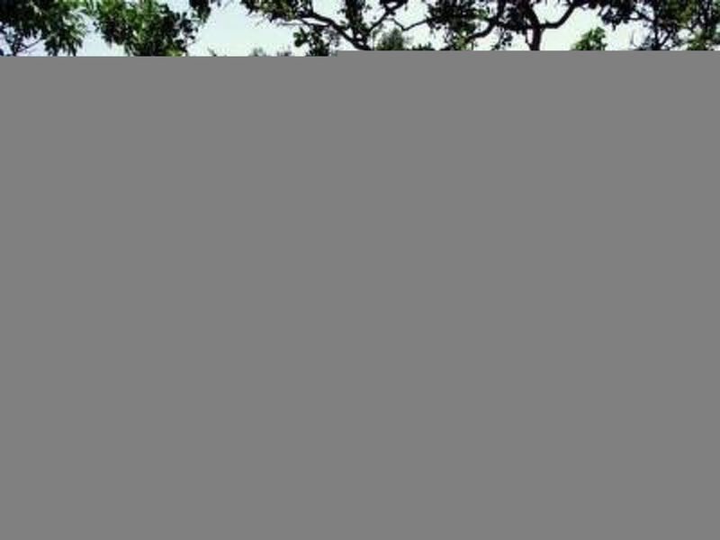 Apartmán Enna unweit vom Meer