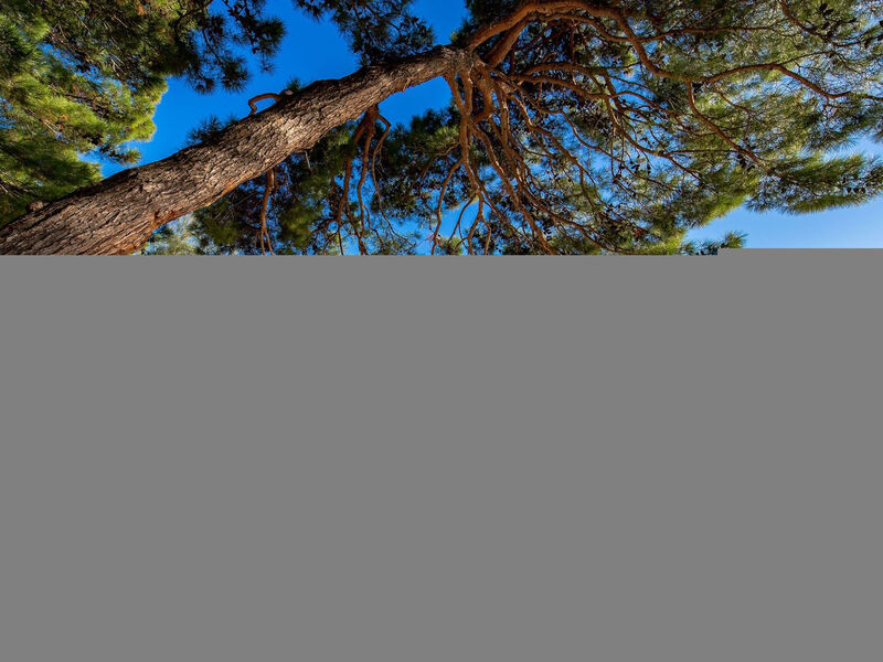 Apartmán für zwei Erwachsene und zwei Kinder