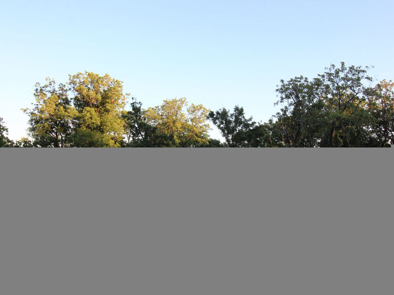 am schönen Kieselstrand.