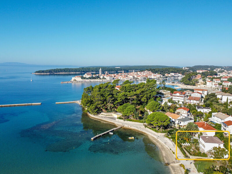 Koka