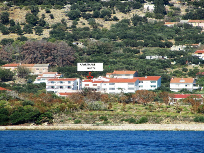 NR.2  SANDRA - APP 4