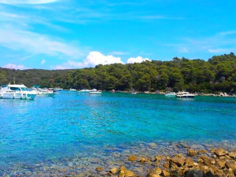 Fantastisches Haus nur 700m vom Strand entfernt