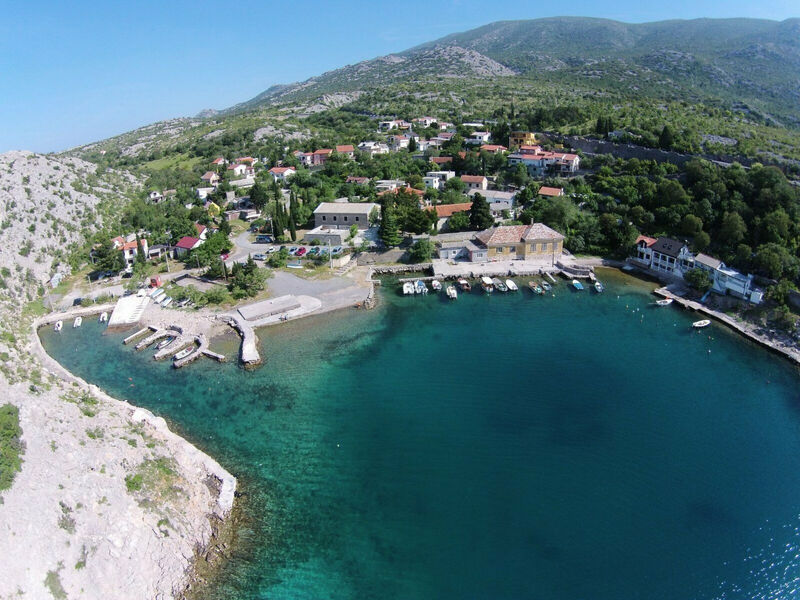 Nikica 3