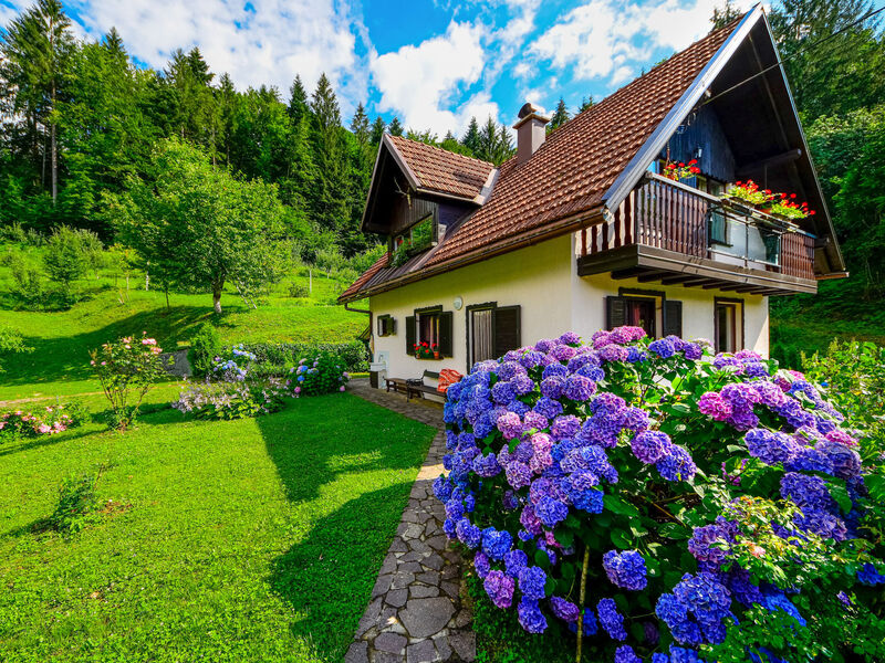 Božica